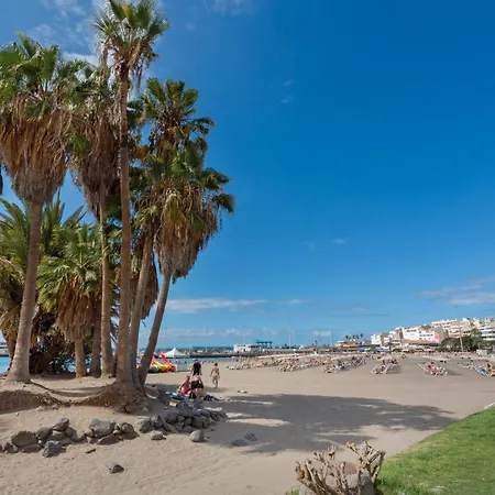 Lovely Cristianos Los Cristianos (Tenerife)